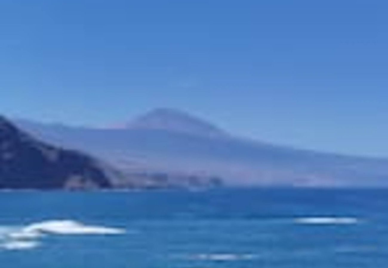 Apartamento en Tacoronte - Apartamento Zoraida del mar.