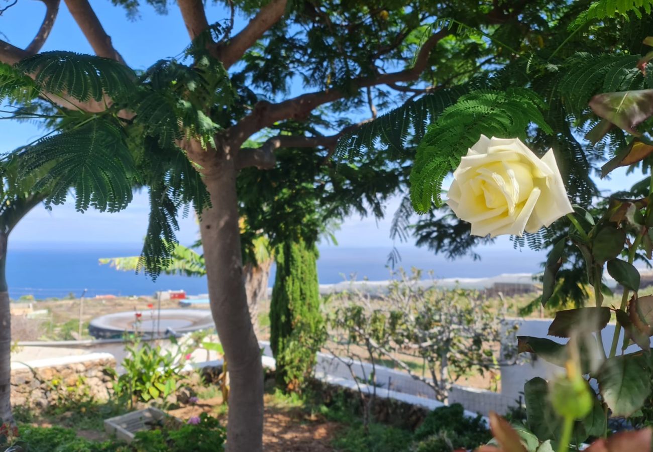 Casa en Tacoronte - Villa Drago